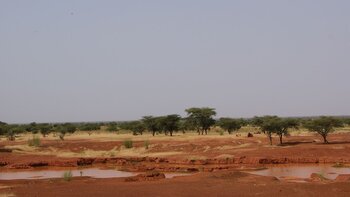 Flache Landschaft in Mali