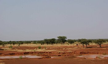 Flache Landschaft in Mali
