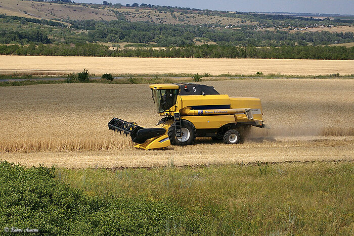 Weizenernte in Russland, Oblast Rostow