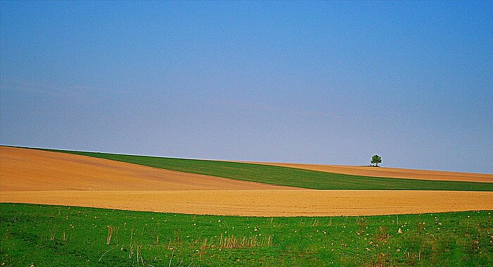 Himmel über Feldern in der Ukraine