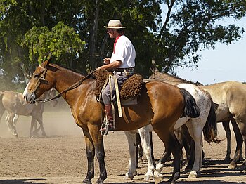 Alltag in Argentinien