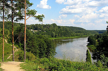 Memel bei Druskininkai in Litauen