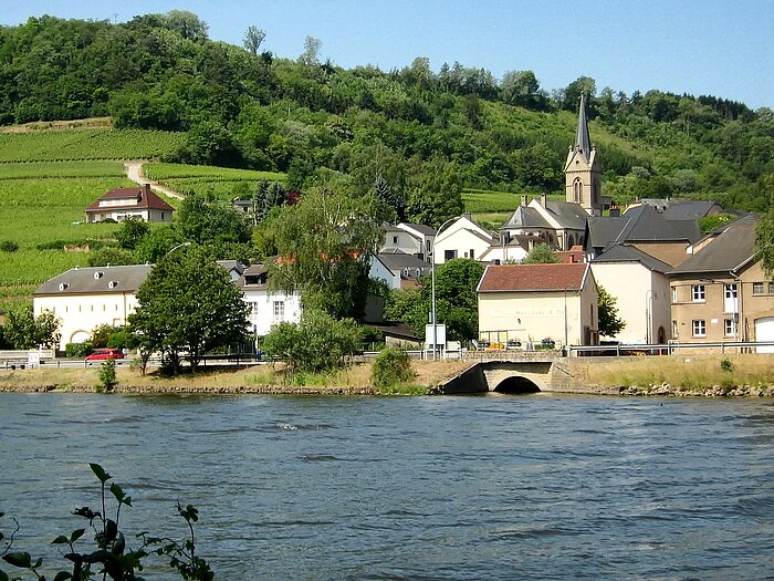 Ahn an der Mosel