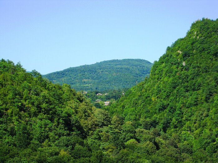 Grüne Berge in Georgien