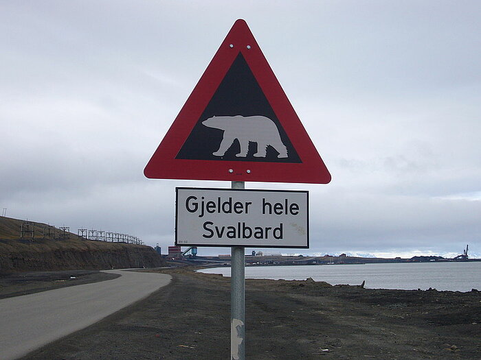 Warnung vor Eisbären auf Spitzbergen