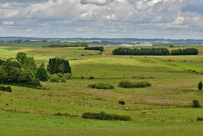 Landschaft in Luxemburg