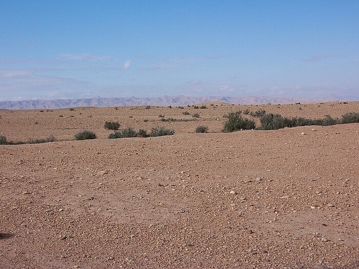 Sahara in Algerien