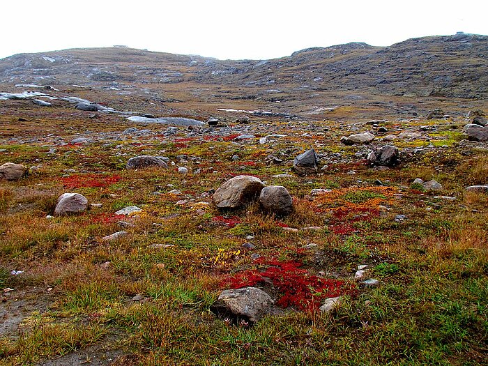 Kanadische Tundra in Nunavut