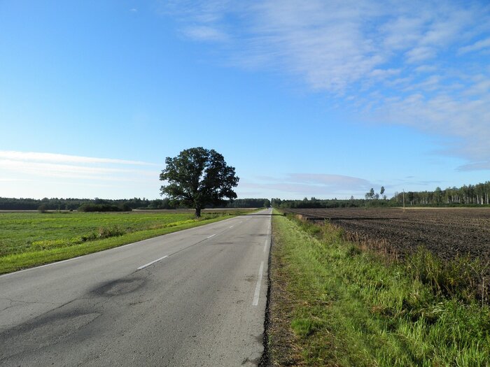 Straße durch Lettland