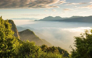 Nebel im Alishan-Gebirge Taiwan Land