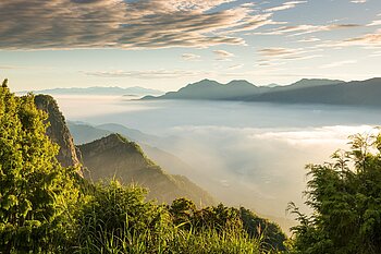 Nebel im Alishan-Gebirge