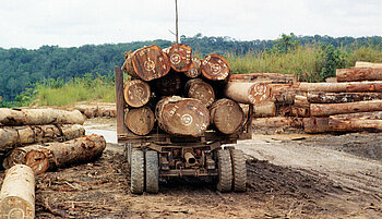 Holztransport in der Zentralafrikanischen Republik