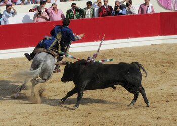 Stierkampf in Portugal