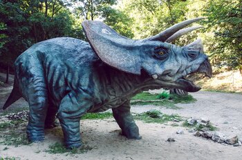 Niedersachsen Urzeit Dinosaurier