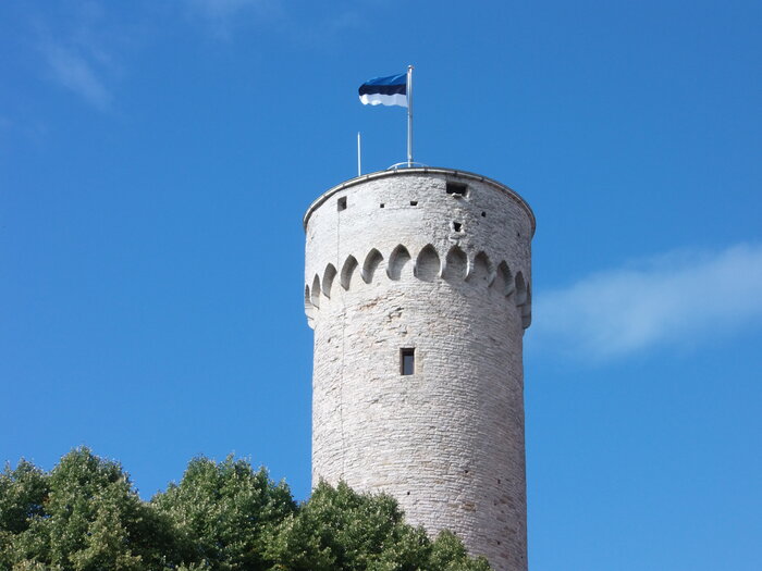 Langer Hermann am Schloss Tallinn