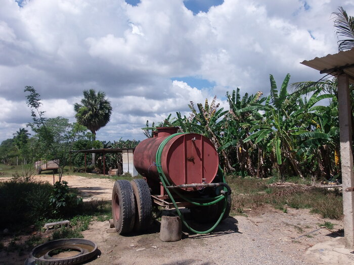 Landwirtschaft auf Kuba