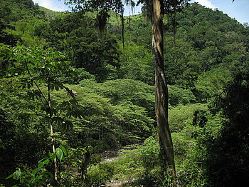 Sierra de Agalta in Honduras