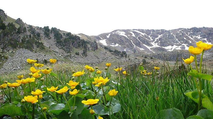 Berge in Andorra