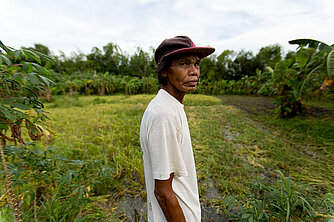 Famer, Philippinen