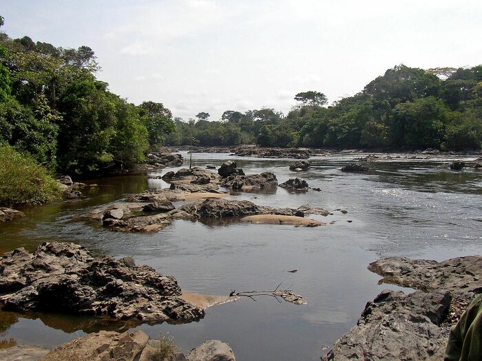 Epulu-Fluss im Okapi-Wildtierreservat
