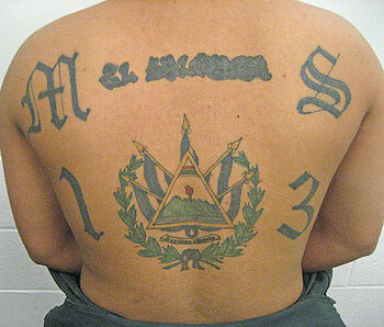 Mann von der Mara Salvatrucha