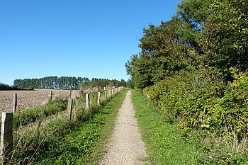 Knick in Schleswig-Holstein