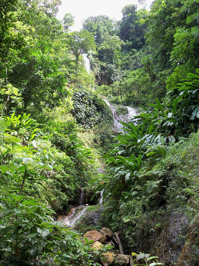 Tufton Hall Wasserfälle, Grenada