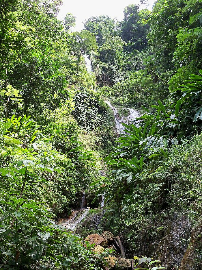 Tufton Hall Wasserfälle, Grenada