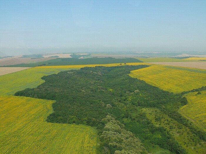 Donautiefebene in Bulgarien