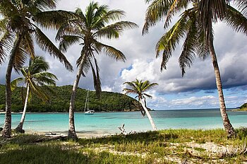 Palmen und Strand auf St. Vincent