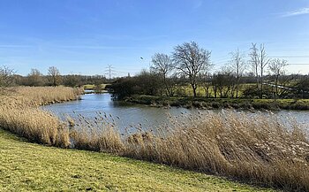 Bremen Landschaft an der Ochtum