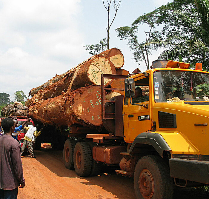 Holzlaster in Kamerun