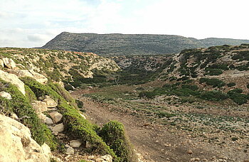 Wadi in Libyen