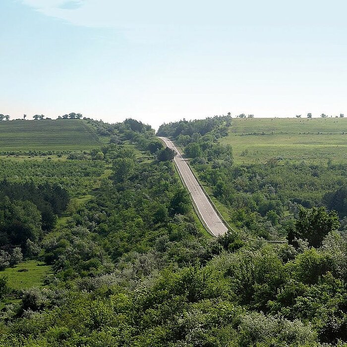 Straße bei Zăicana