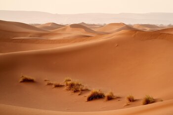Sahara in Marokko