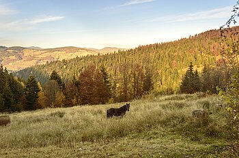 Rumänien im Herbst