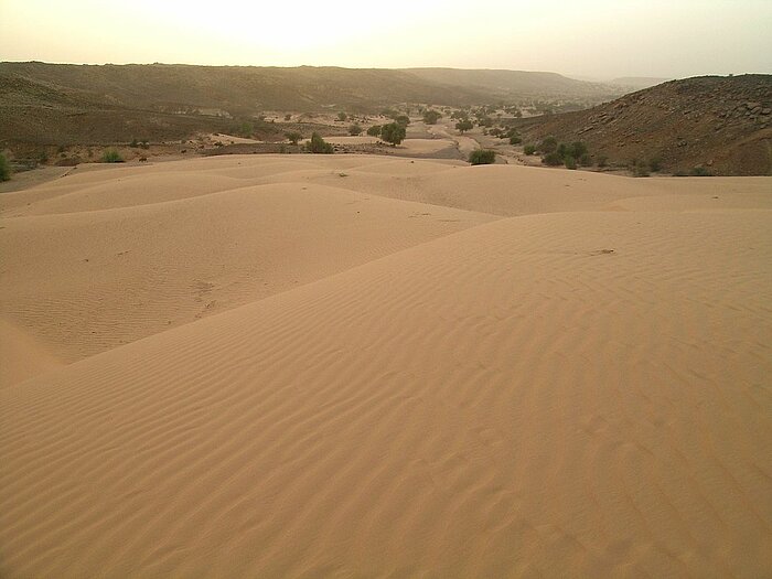 Tal bei Oualata