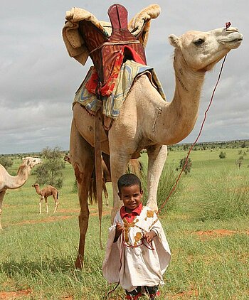 Mauretanischer Junge führt ein Kamel