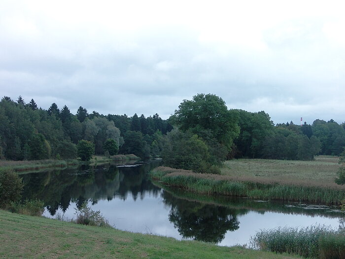 Grünes Land in Estland