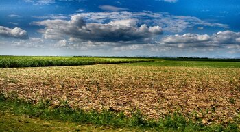 Plantage in der Dominikanischen Republik
