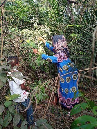 Alltag in Guinea: Mutter und Sohn