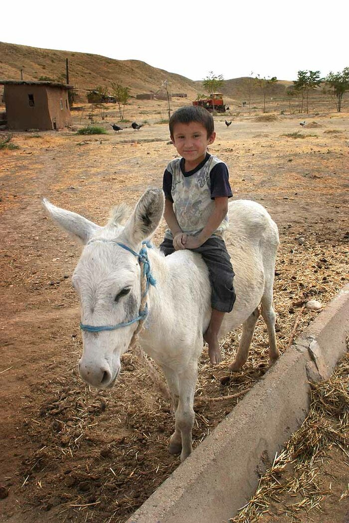 Junge auf Esel in Tadschikistan