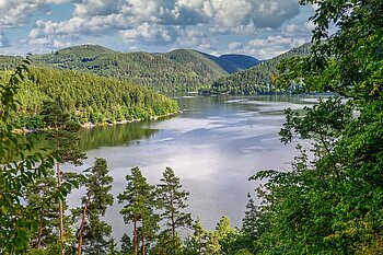 Hohenwarte-Stausee im Thüringer Wald