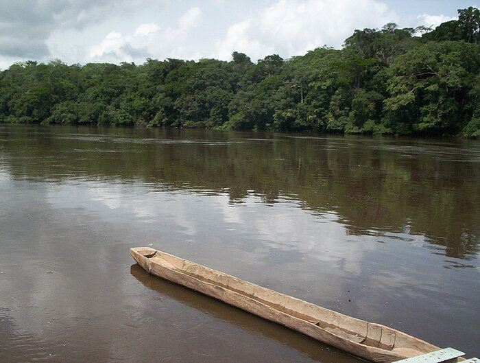 Fluss Dja in Kamerun