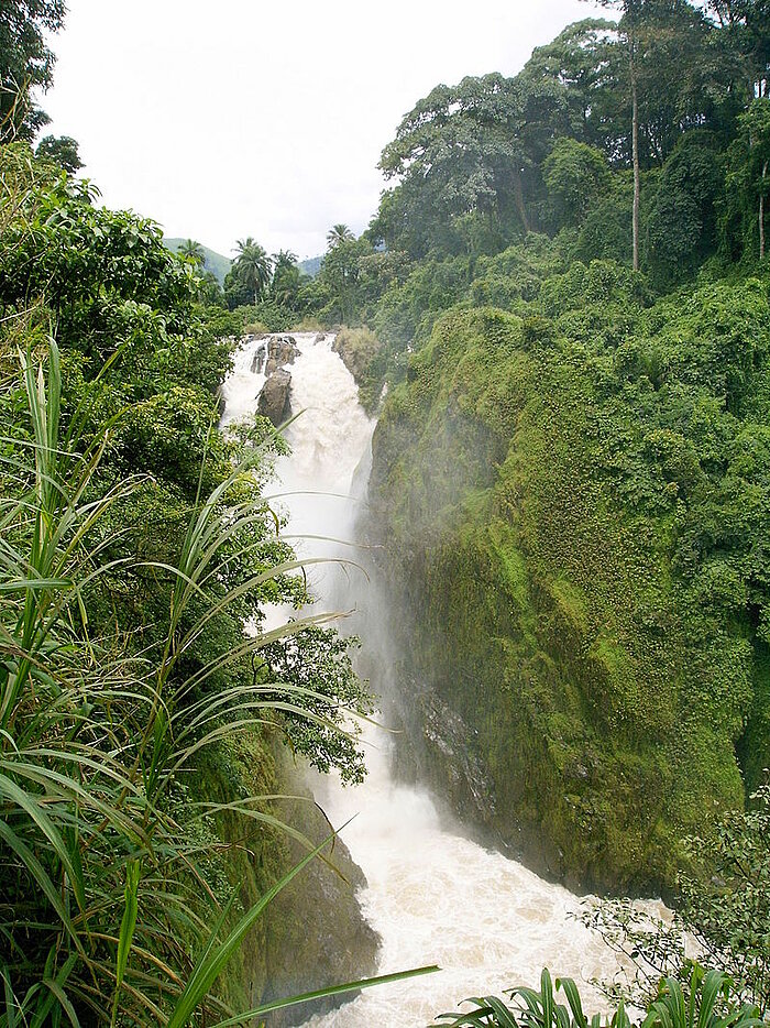 Wasserfall in Kamerun