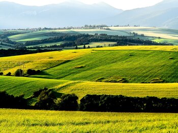 Slowakei Landwirtschaft