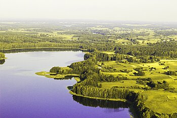 Wald und Seen in Litauen