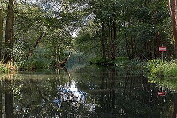 Biosphärenreservat Spreewald