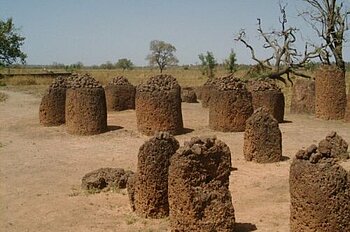 Senegambische Steinkreise in Wassu, Gambia