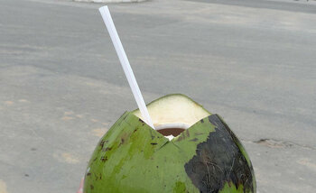 Kokoswasser: Getränk in Costa Rica